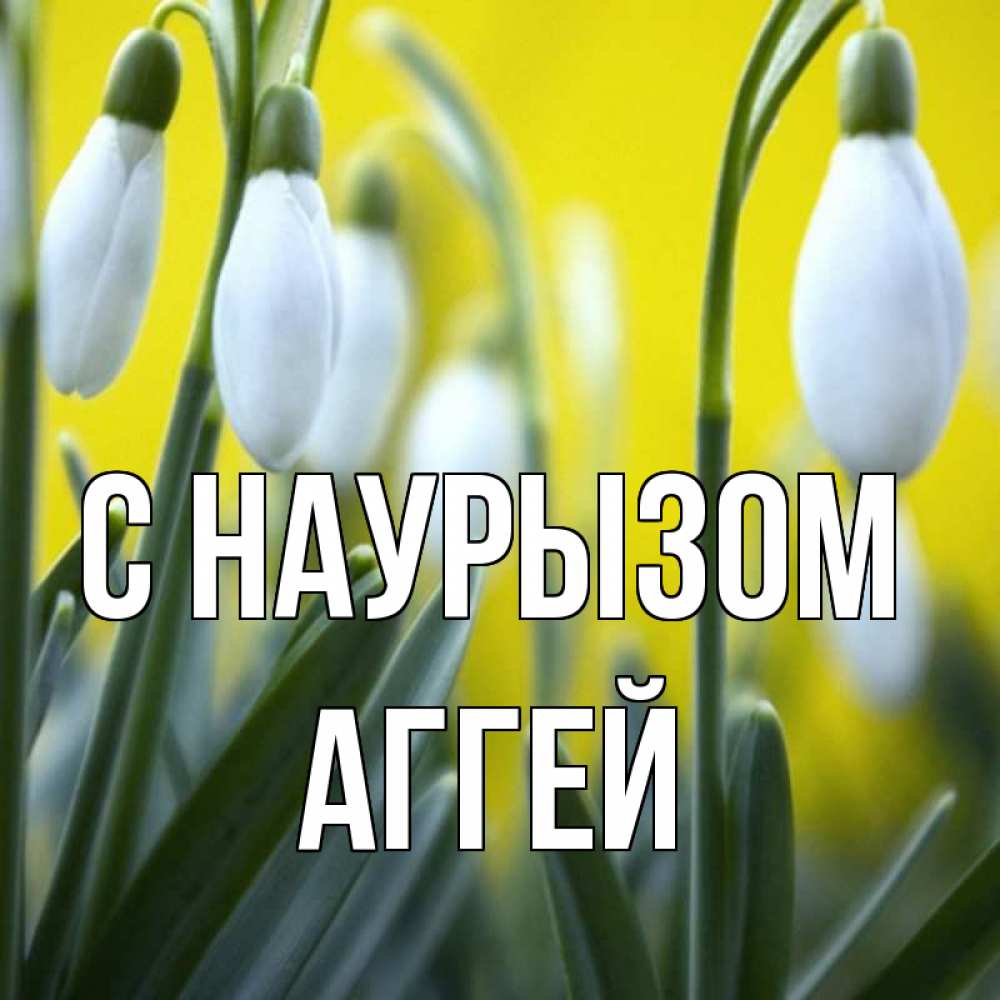 Открытка на каждый день с именем, Аггей С наурызом весенние цветы Прикольная открытка с пожеланием онлайн скачать бесплатно 