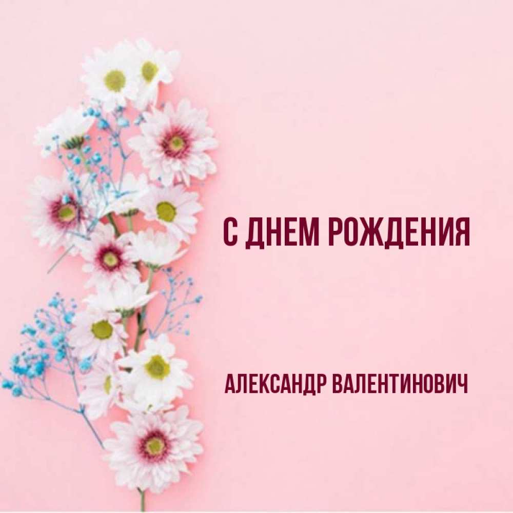Открытка на каждый день с именем, Александр-Валентинович С днем рождения Родная моя с днем рождения тебя картинка с цветами белыми и голубыми Прикольная открытка с пожеланием онлайн скачать бесплатно 