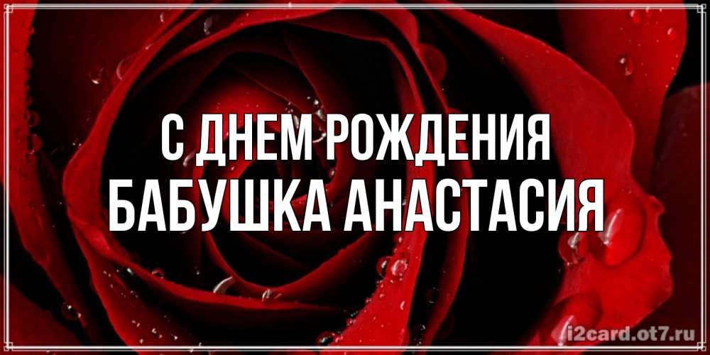 Открытка на каждый день с именем, Бабушка-Анастасия С днем рождения крупная бордовая роза Прикольная открытка с пожеланием онлайн скачать бесплатно 