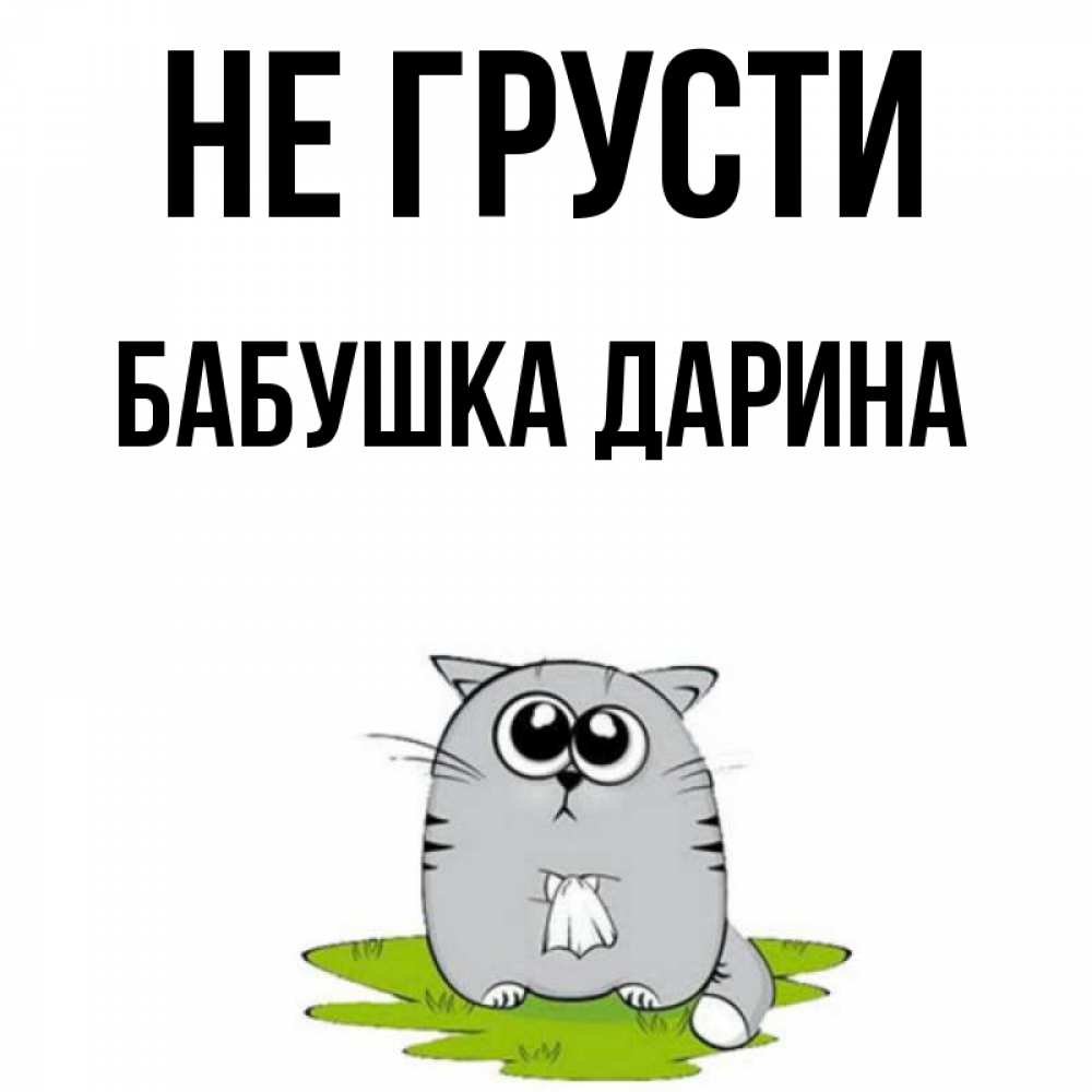 Открытка на каждый день с именем, Бабушка-Дарина Не грусти грустный котяра Прикольная открытка с пожеланием онлайн скачать бесплатно 