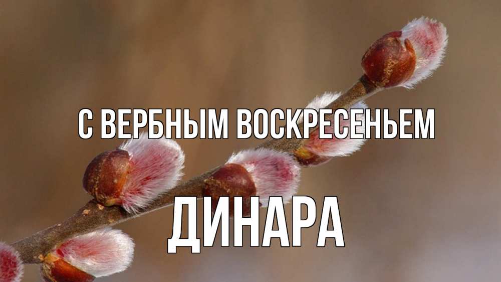 Открытка на каждый день с именем, Динара С вербным воскресеньем верба Прикольная открытка с пожеланием онлайн скачать бесплатно 