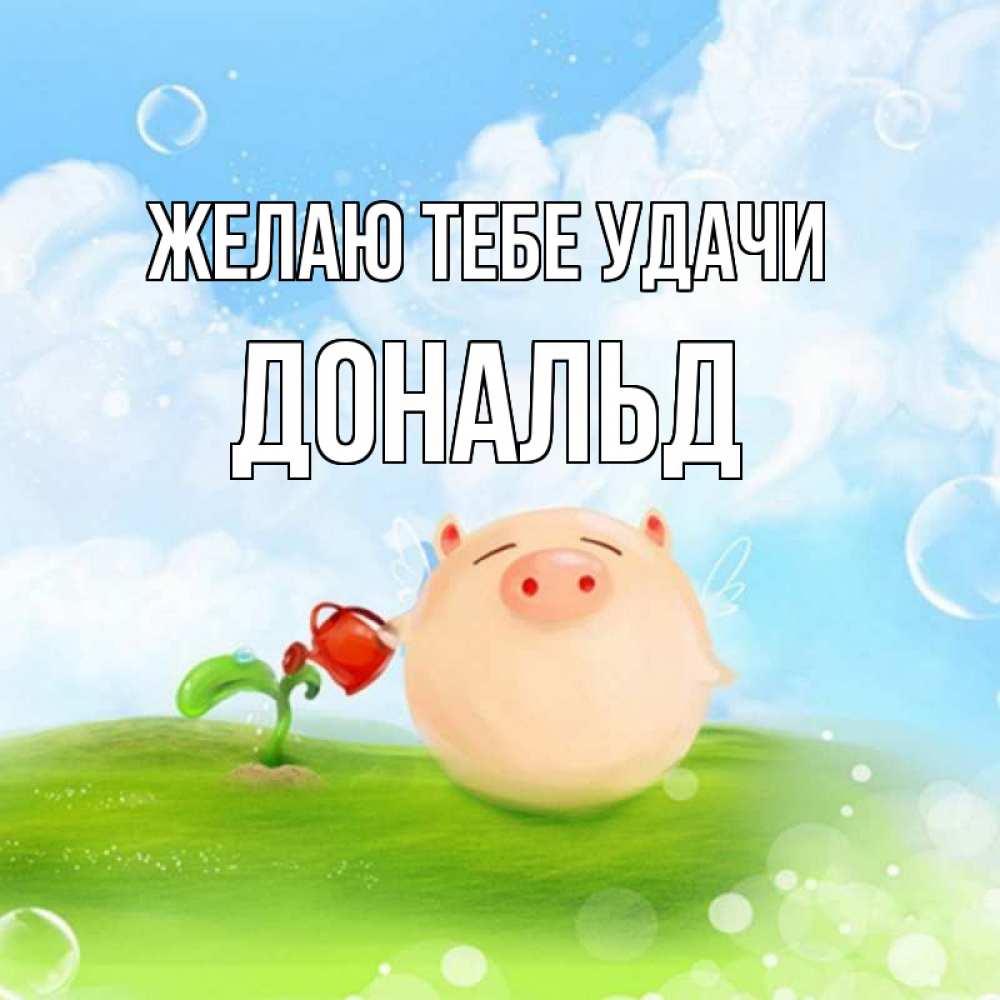 Открытка на каждый день с именем, Дональд Желаю тебе удачи поросенок поливает цветок. летнее настроение Прикольная открытка с пожеланием онлайн скачать бесплатно 