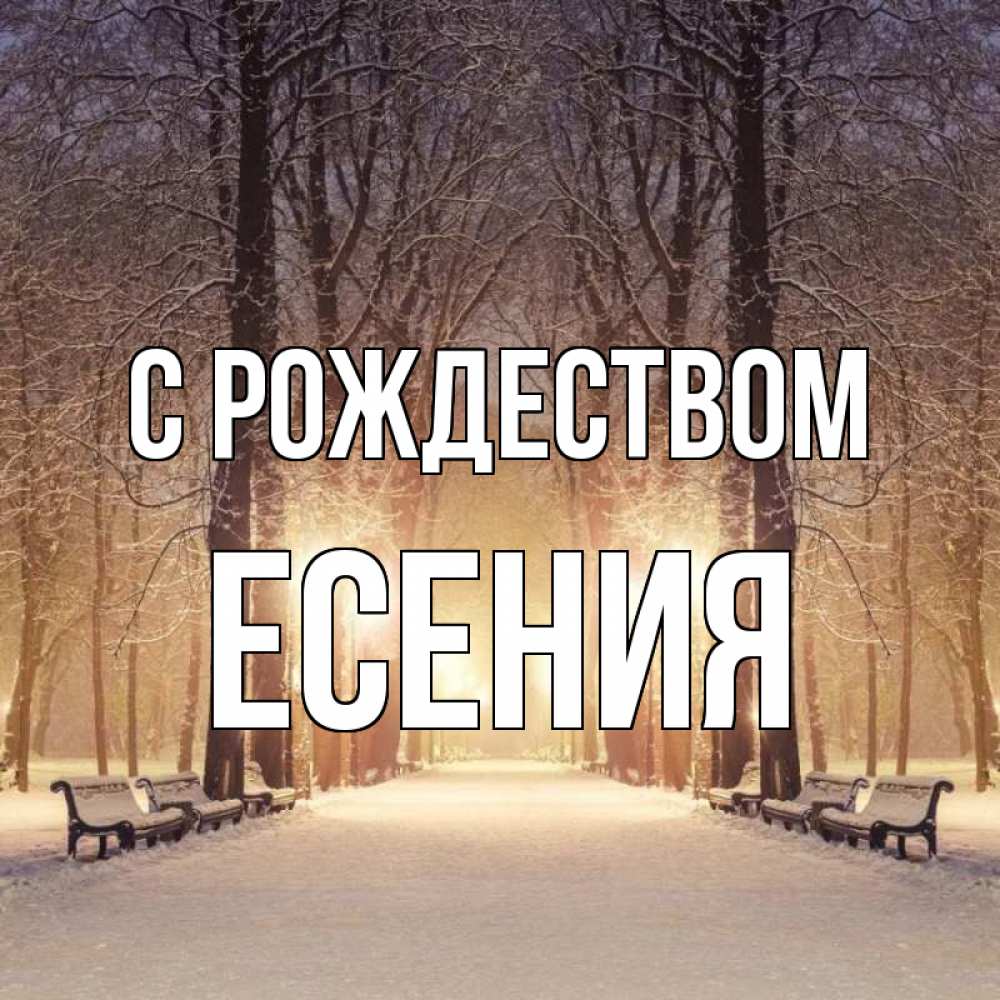 Открытка на каждый день с именем, Есения С рождеством зима, парк, фонарь, лес Прикольная открытка с пожеланием онлайн скачать бесплатно 