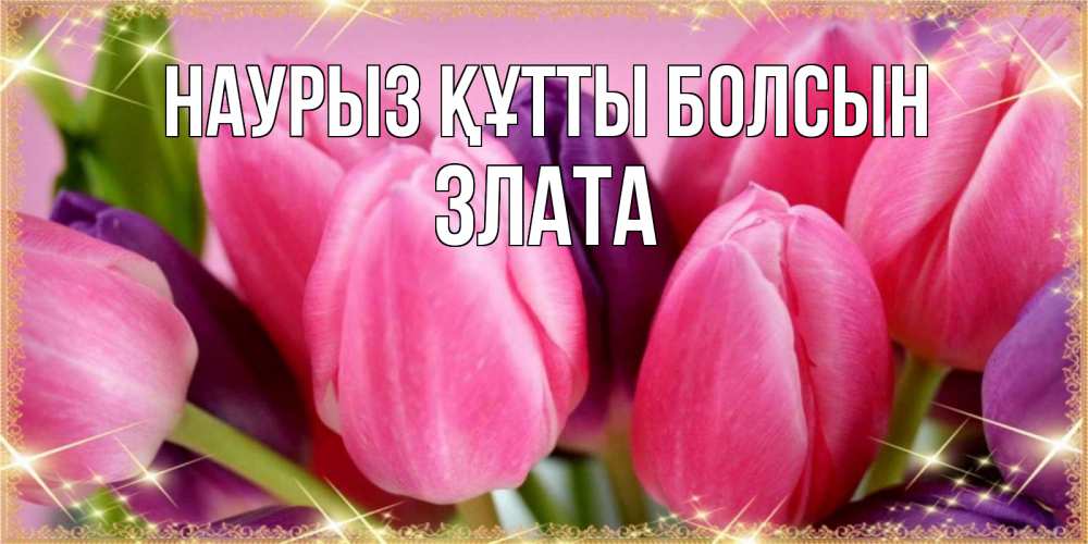 Открытка на каждый день с именем, Злата Наурыз құтты болсын тюльпаны для женщины на международный женский день Прикольная открытка с пожеланием онлайн скачать бесплатно 
