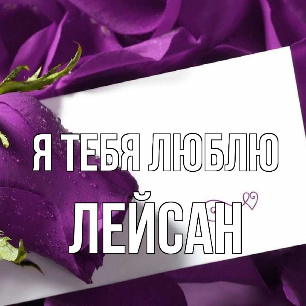 Открытка на каждый день с именем, Лейсан Я тебя люблю роза Прикольная открытка с пожеланием онлайн скачать бесплатно 