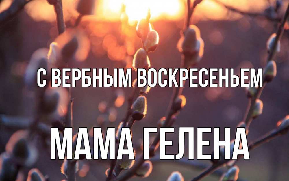 Открытка на каждый день с именем, Мама-Гелена С вербным воскресеньем верба Прикольная открытка с пожеланием онлайн скачать бесплатно 