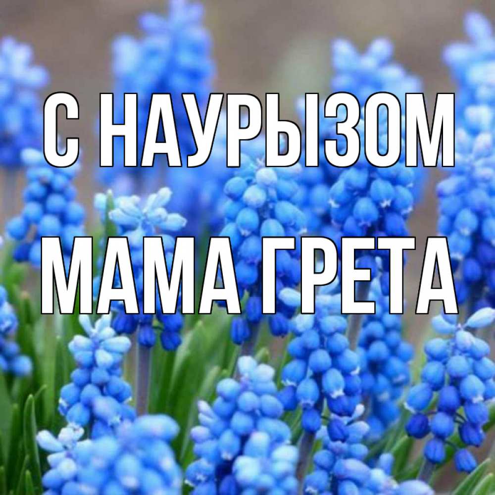 Открытка на каждый день с именем, Мама-Грета С наурызом Поздравительная открытка для женщин с цветами на праздничную дату Прикольная открытка с пожеланием онлайн скачать бесплатно 