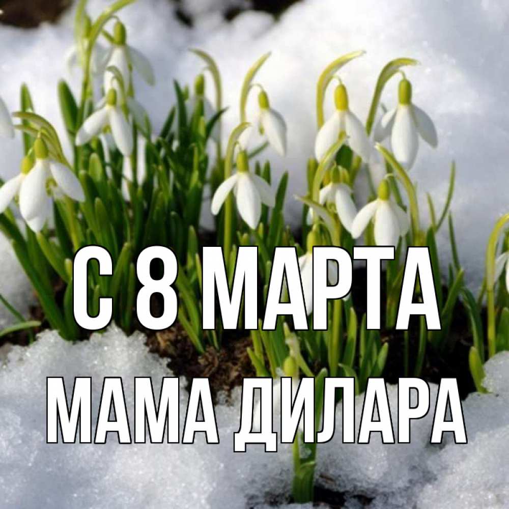Открытка на каждый день с именем, Мама-Дилара С 8 марта цветы весенние Прикольная открытка с пожеланием онлайн скачать бесплатно 