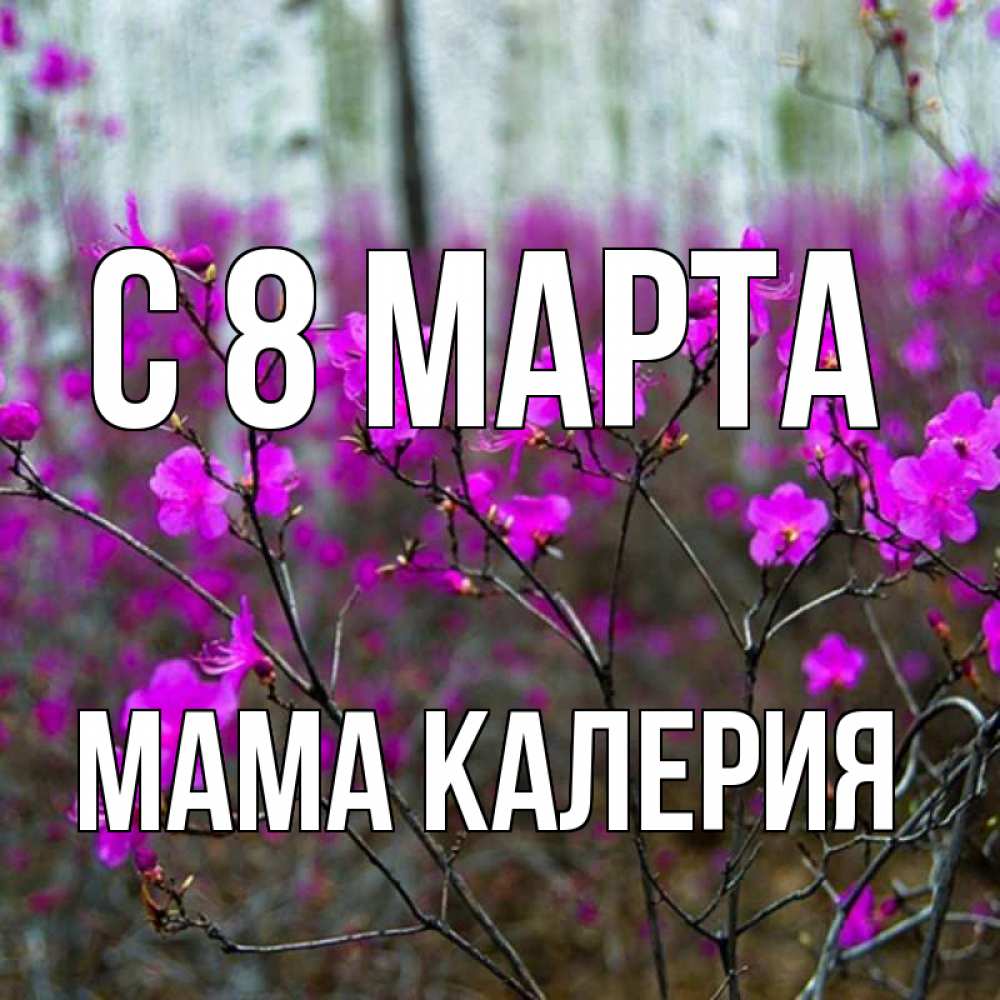 Открытка на каждый день с именем, Мама-Калерия С 8 марта дикие цветы Прикольная открытка с пожеланием онлайн скачать бесплатно 