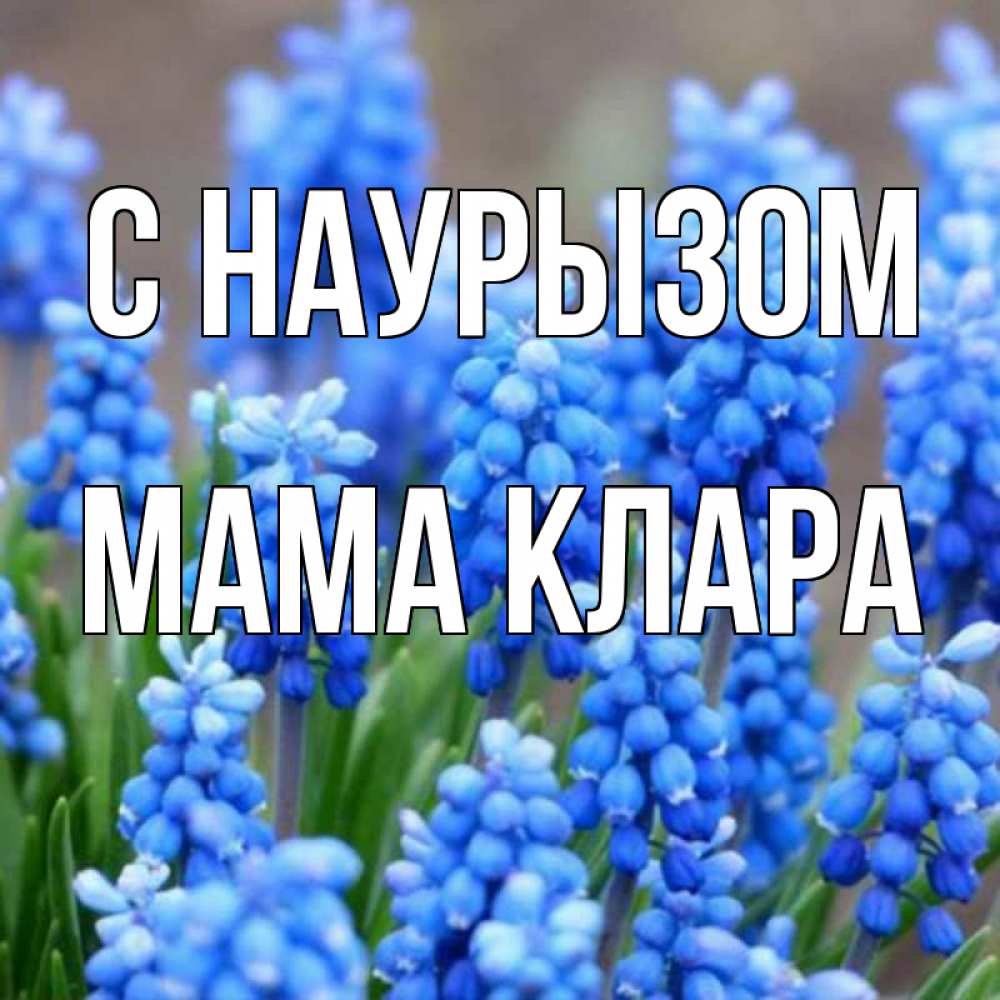 Открытка на каждый день с именем, Мама-Клара С наурызом Поздравительная открытка для женщин с цветами на праздничную дату Прикольная открытка с пожеланием онлайн скачать бесплатно 