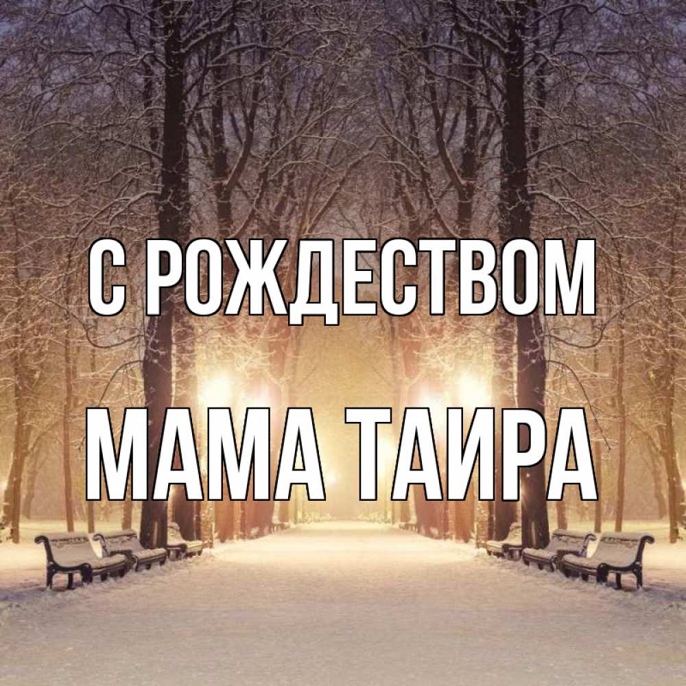 Открытка на каждый день с именем, Мама-Таира С рождеством зима, парк, фонарь, лес Прикольная открытка с пожеланием онлайн скачать бесплатно 