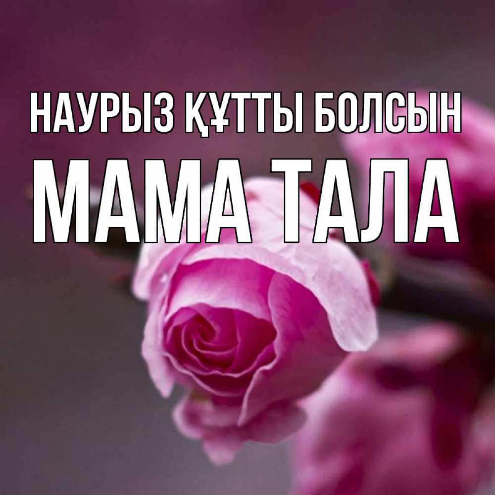 Открытка на каждый день с именем, Мама-Тала Наурыз құтты болсын весна Прикольная открытка с пожеланием онлайн скачать бесплатно 