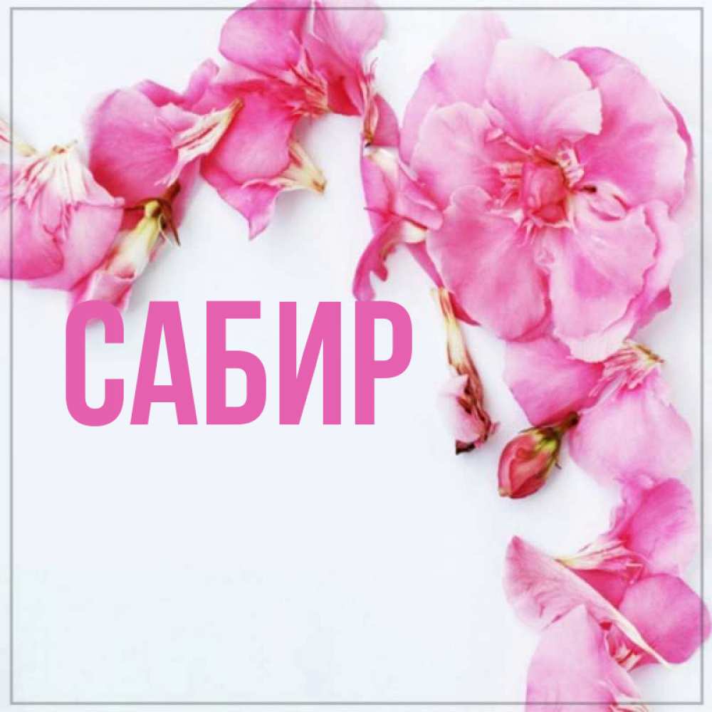 Открытка на каждый день с именем, Сабир Главная Красивая открытка для поздравления с днем рождения Прикольная открытка с пожеланием онлайн скачать бесплатно 