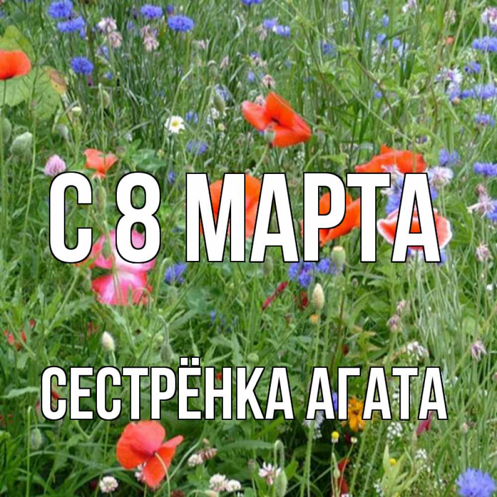 Открытка на каждый день с именем, Сестрёнка-Агата С 8 МАРТА международный женский день 4 Прикольная открытка с пожеланием онлайн скачать бесплатно 
