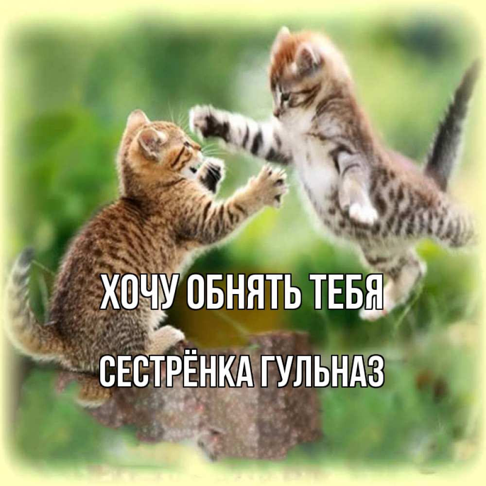 Открытка на каждый день с именем, Сестрёнка-Гульназ Хочу обнять тебя игры котят Прикольная открытка с пожеланием онлайн скачать бесплатно 