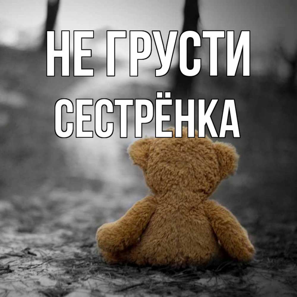 Открытка на каждый день с именем, Сестрёнка Не грусти медведь со спин Прикольная открытка с пожеланием онлайн скачать бесплатно 