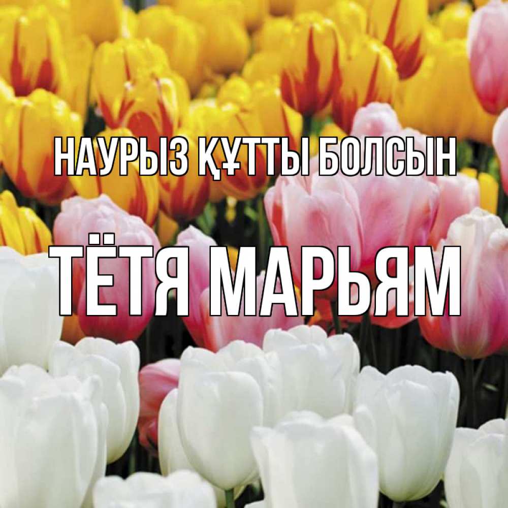 Открытка на каждый день с именем, Тётя-Марьям Наурыз құтты болсын разноцветные цветы Прикольная открытка с пожеланием онлайн скачать бесплатно 