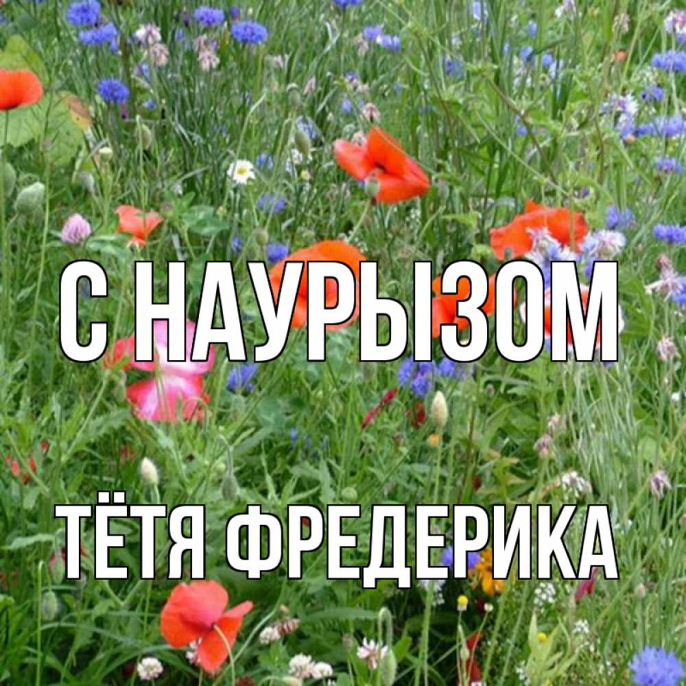 Открытка на каждый день с именем, Тётя-Фредерика С наурызом праздник весны наурыз супер открытка Прикольная открытка с пожеланием онлайн скачать бесплатно 