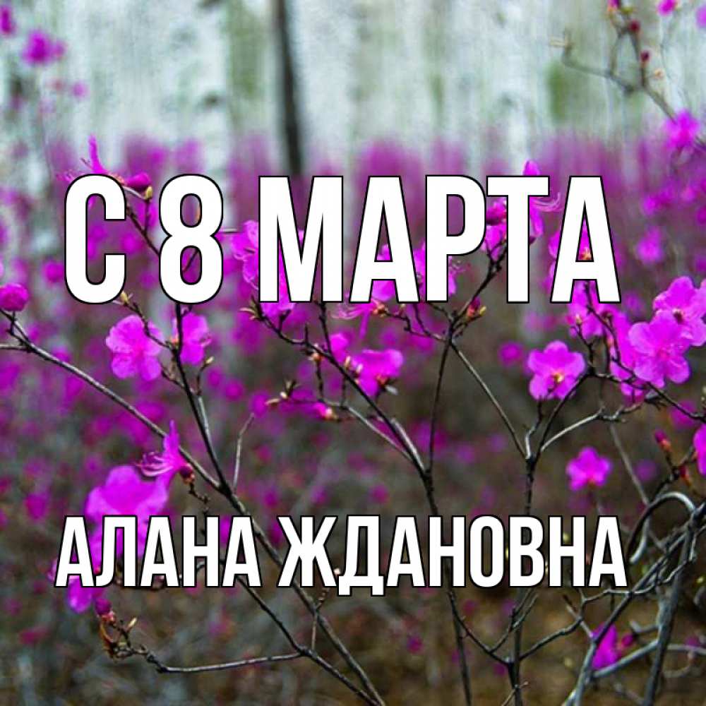 Открытка на каждый день с именем, Алана-Ждановна С 8 МАРТА дикие цветы Прикольная открытка с пожеланием онлайн скачать бесплатно 