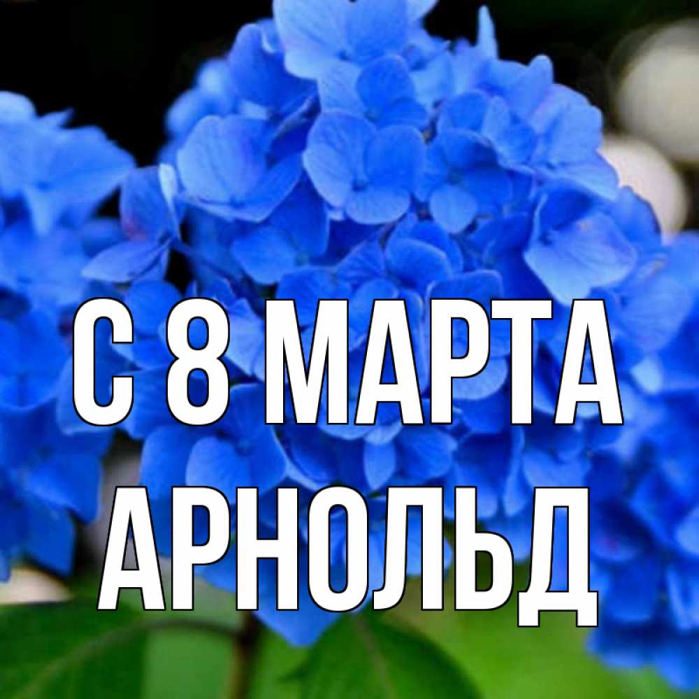 Открытка на каждый день с именем, Арнольд С 8 МАРТА синие цветы Прикольная открытка с пожеланием онлайн скачать бесплатно 