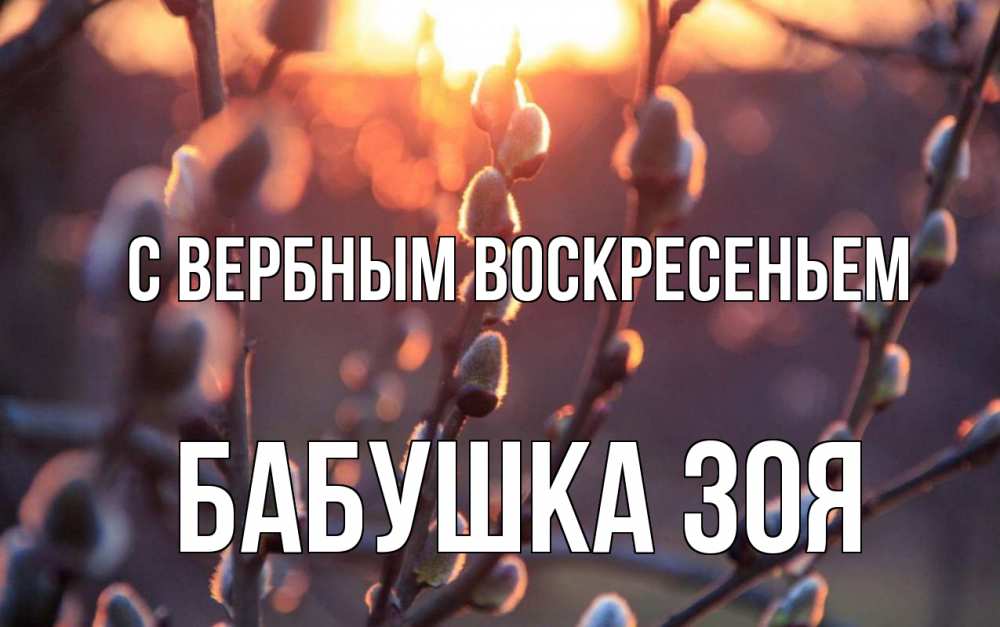 Открытка на каждый день с именем, Бабушка-Зоя С вербным воскресеньем верба Прикольная открытка с пожеланием онлайн скачать бесплатно 