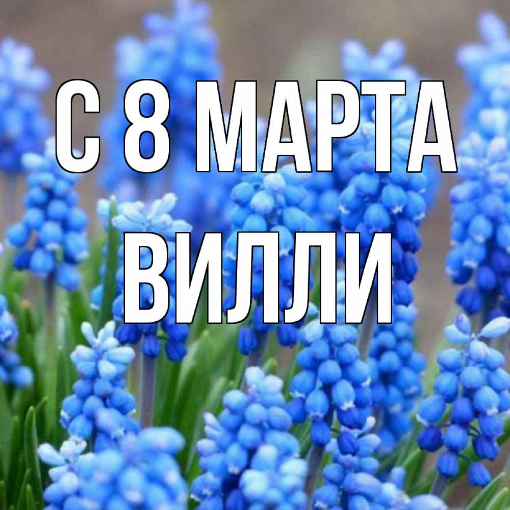 Открытка на каждый день с именем, Вилли С 8 МАРТА Поздравительная открытка для женщин с цветами на праздничную дату Прикольная открытка с пожеланием онлайн скачать бесплатно 