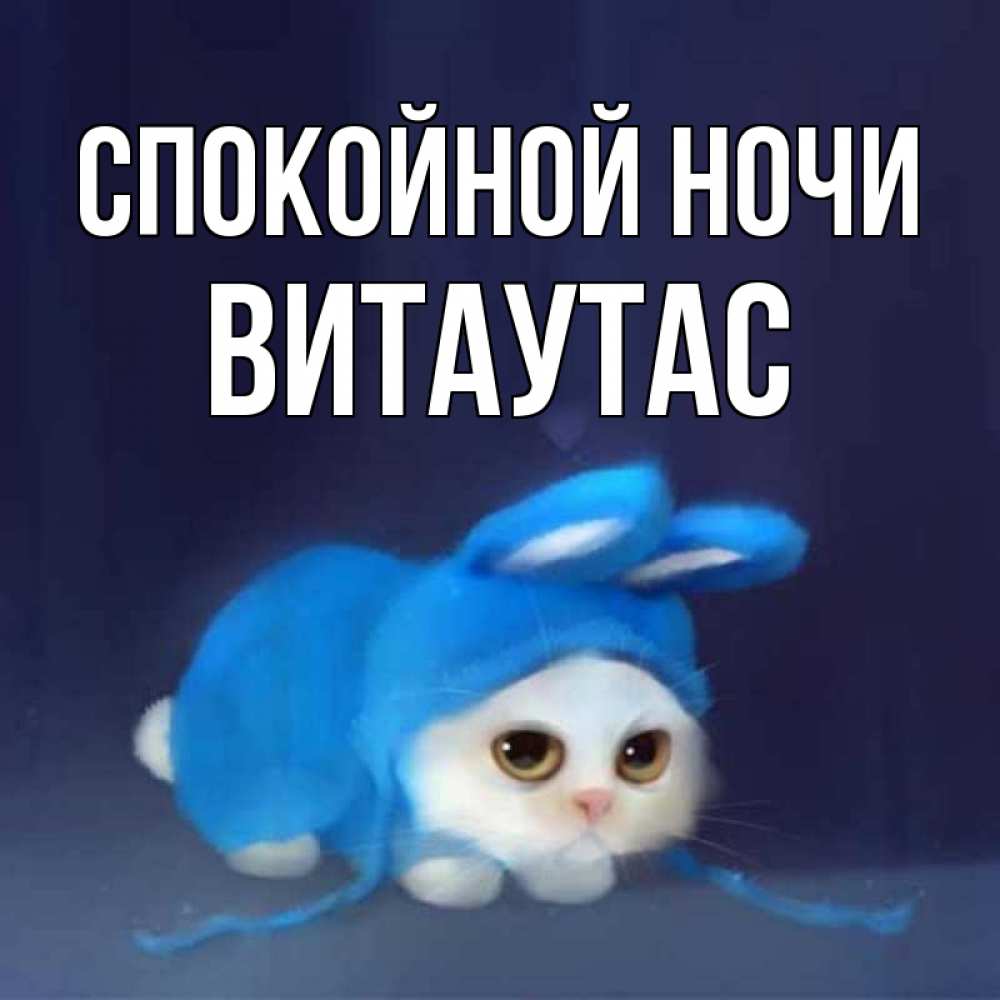Открытка на каждый день с именем, Витаутас Спокойной ночи кот в голубом костюме кролика с ушками Прикольная открытка с пожеланием онлайн скачать бесплатно 
