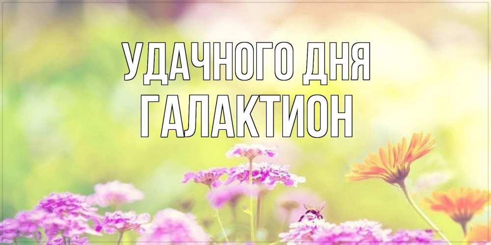 Открытка на каждый день с именем, Галактион Удачного дня красивая открытка с летней темой Прикольная открытка с пожеланием онлайн скачать бесплатно 