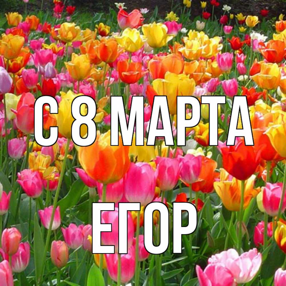 Открытка на каждый день с именем, Егор С 8 МАРТА на международный женский день Прикольная открытка с пожеланием онлайн скачать бесплатно 