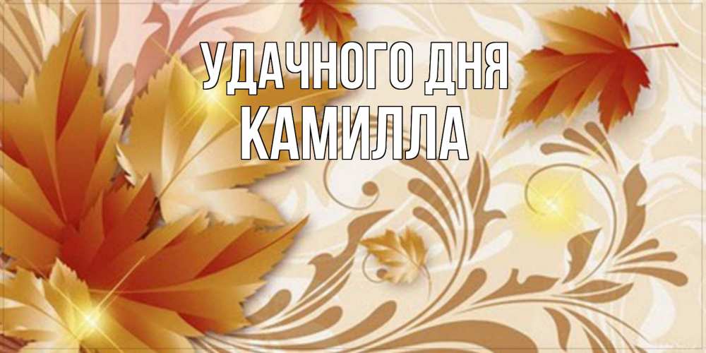 Открытка на каждый день с именем, Камилла Удачного дня листики и осеннее настроение Прикольная открытка с пожеланием онлайн скачать бесплатно 