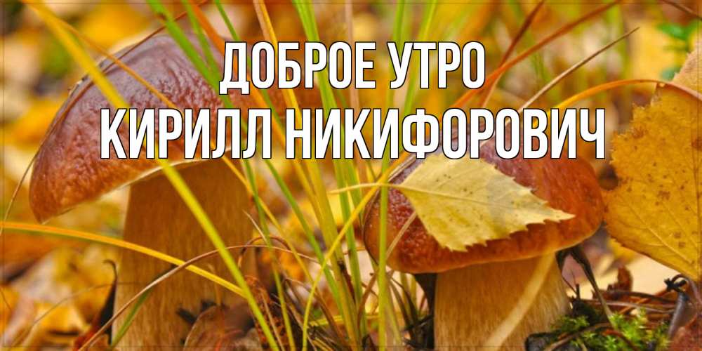 Открытка на каждый день с именем, Кирилл-Никифорович Доброе утро осенние грибы Прикольная открытка с пожеланием онлайн скачать бесплатно 