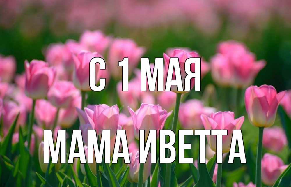 Открытка на каждый день с именем, Мама-Иветта С 1 мая С 1 мая Прикольная открытка с пожеланием онлайн скачать бесплатно 