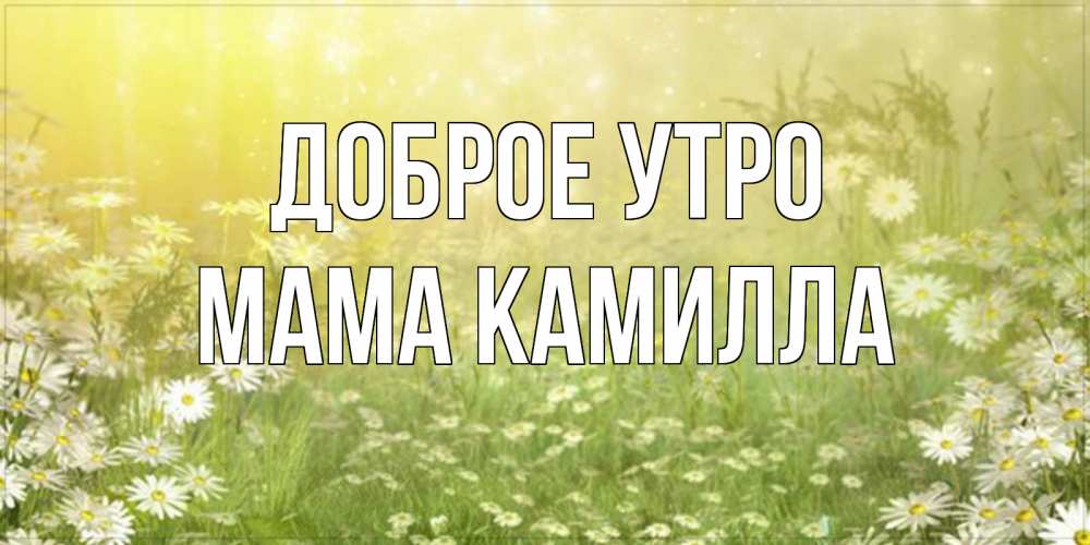 Открытка на каждый день с именем, Мама-Камилла Доброе утро доброе утро Прикольная открытка с пожеланием онлайн скачать бесплатно 