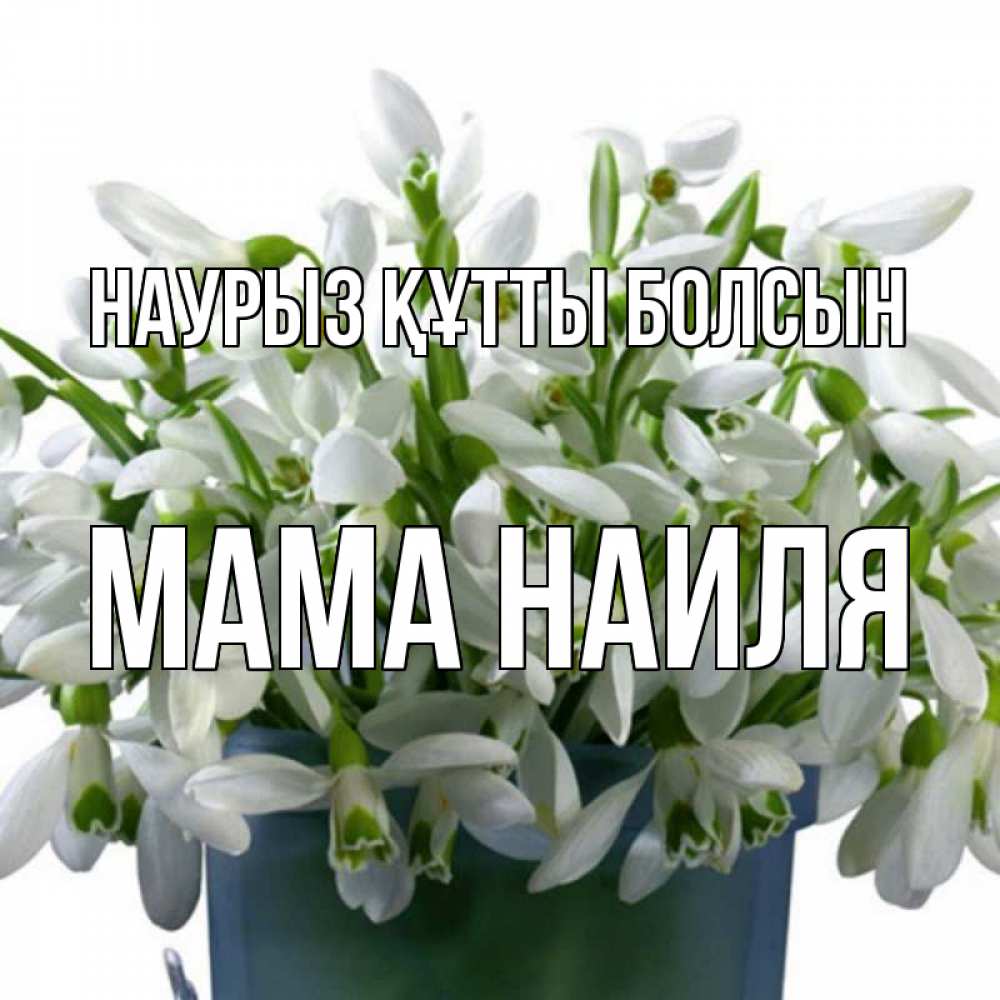 Открытка на каждый день с именем, Мама-Наиля Наурыз құтты болсын цветы к наурызу Прикольная открытка с пожеланием онлайн скачать бесплатно 