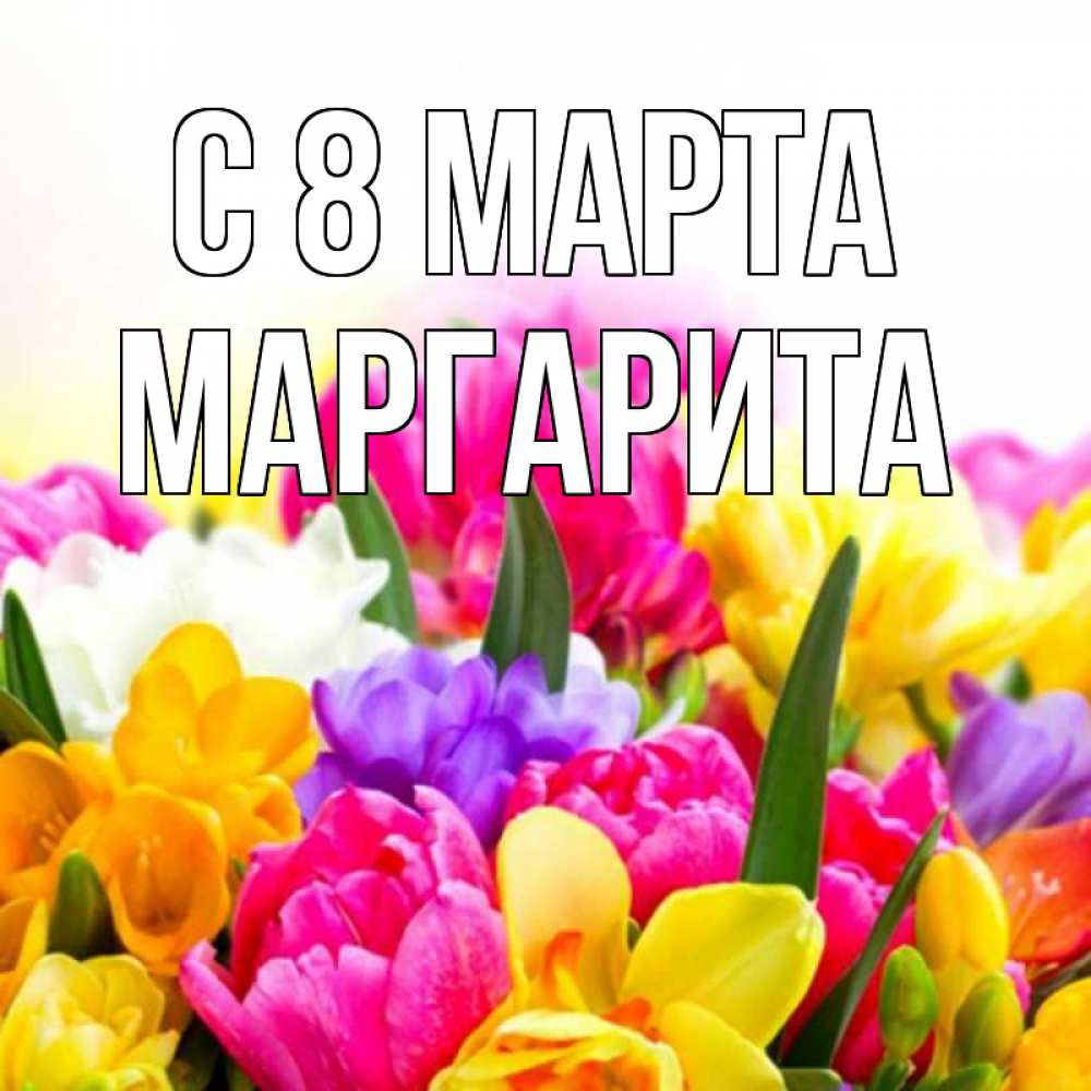 Открытка на каждый день с именем, Маргарита С 8 марта тюльпаны Прикольная открытка с пожеланием онлайн скачать бесплатно 