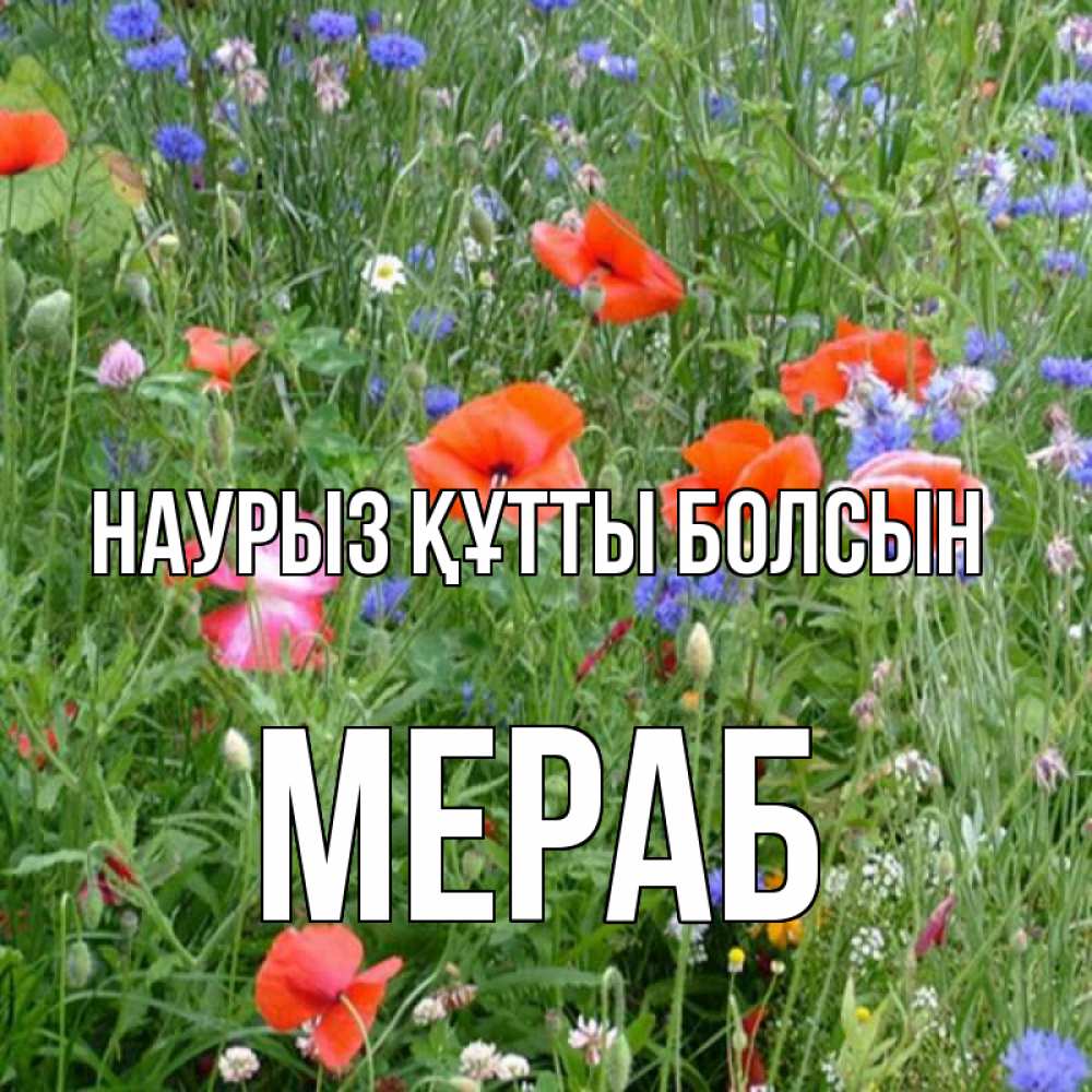 Открытка на каждый день с именем, Мераб Наурыз құтты болсын наурыз  4 Прикольная открытка с пожеланием онлайн скачать бесплатно 