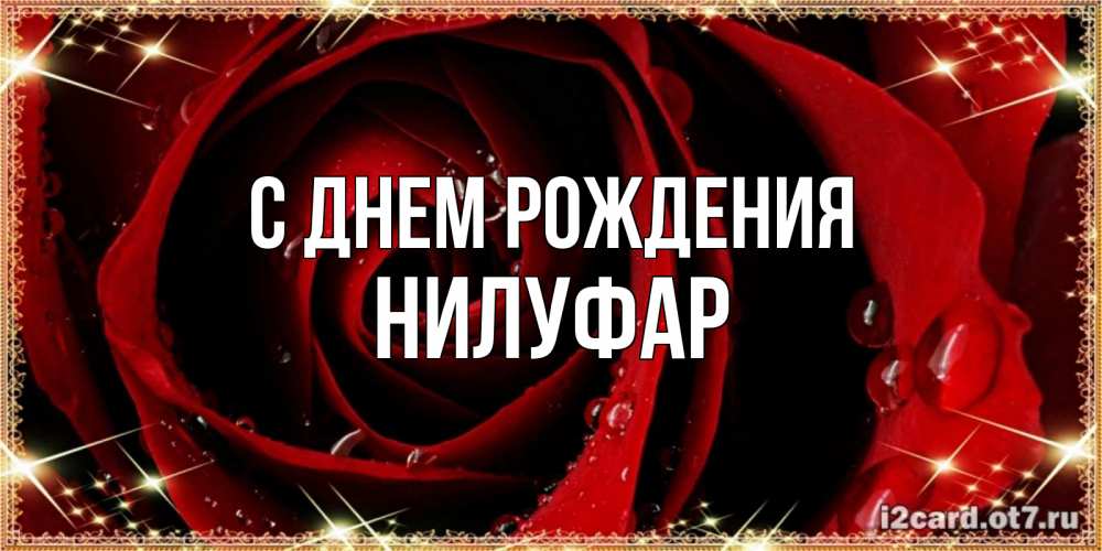 Нилуфар С Днем Рождения