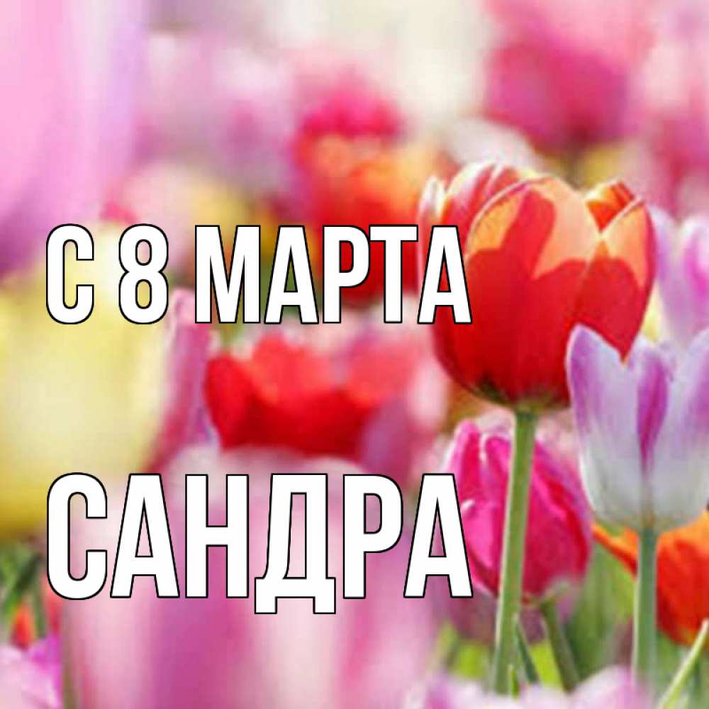Открытка на каждый день с именем, Сандра С 8 МАРТА на международный женский день 2 Прикольная открытка с пожеланием онлайн скачать бесплатно 