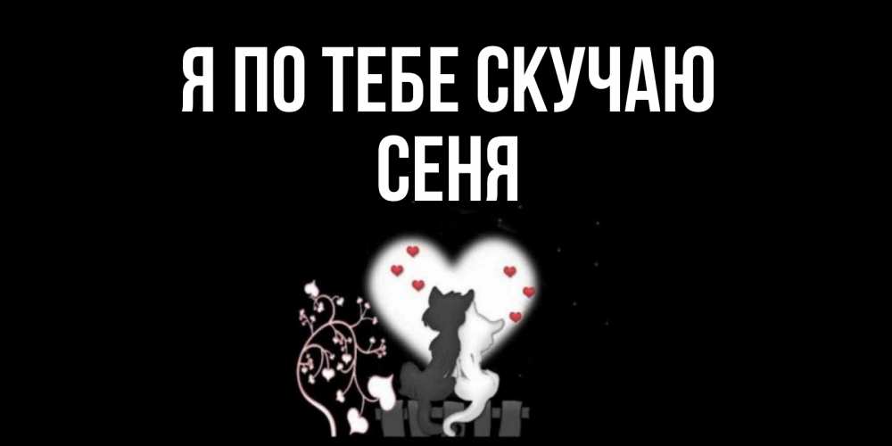 Открытка на каждый день с именем, Сеня Я по тебе скучаю коты Прикольная открытка с пожеланием онлайн скачать бесплатно 