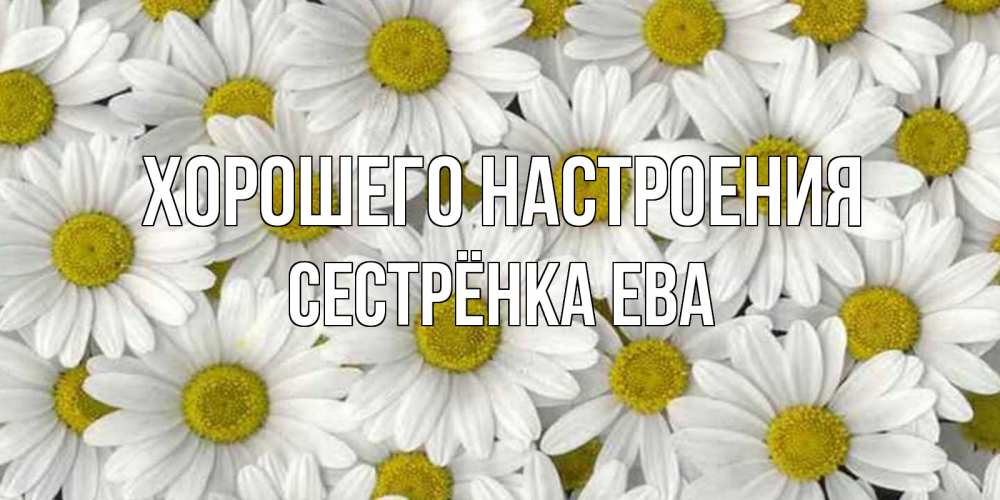 Открытка на каждый день с именем, Сестрёнка-Ева Хорошего настроения поляна ромашек Прикольная открытка с пожеланием онлайн скачать бесплатно 