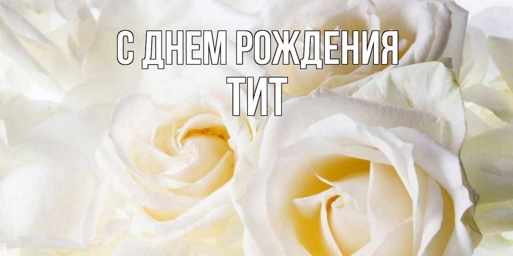 Открытка на каждый день с именем, Тит С днем рождения открыточки на день рождения любимым Прикольная открытка с пожеланием онлайн скачать бесплатно 