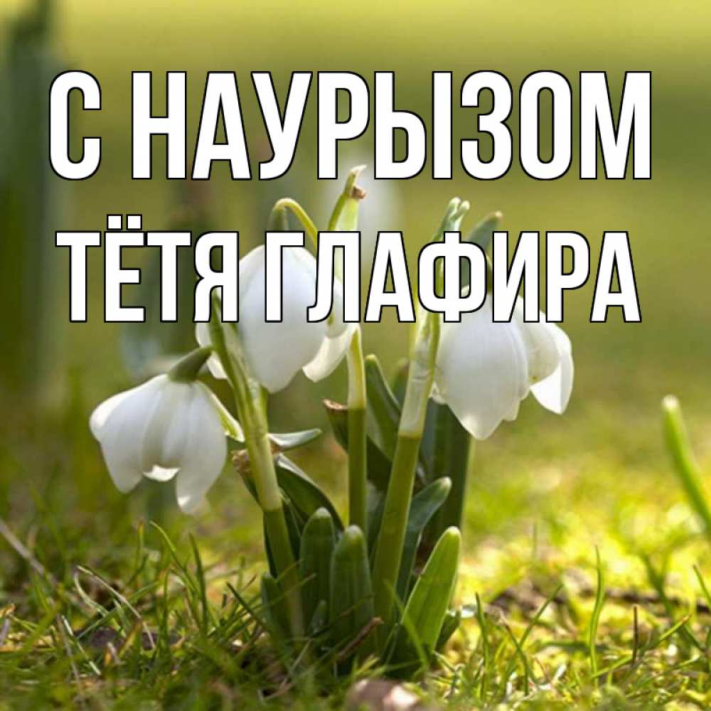 Открытка на каждый день с именем, Тётя-Глафира С наурызом ранние цветы 2 Прикольная открытка с пожеланием онлайн скачать бесплатно 