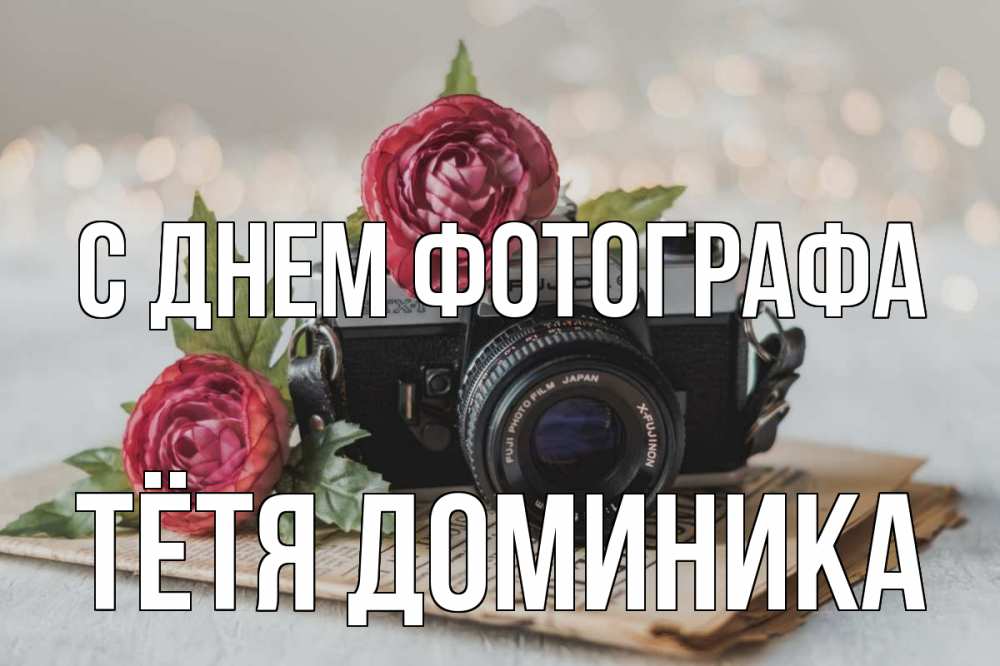 Открытка на каждый день с именем, Тётя-Доминика С днем фотографа с днем фотографа Прикольная открытка с пожеланием онлайн скачать бесплатно 
