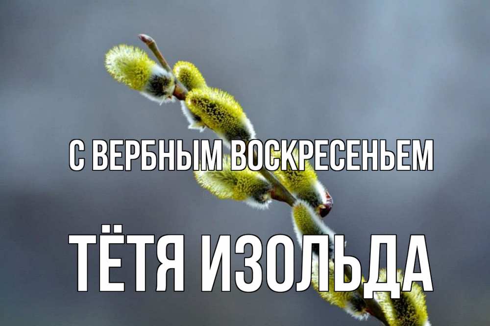 Открытка на каждый день с именем, Тётя-Изольда С вербным воскресеньем верба Прикольная открытка с пожеланием онлайн скачать бесплатно 