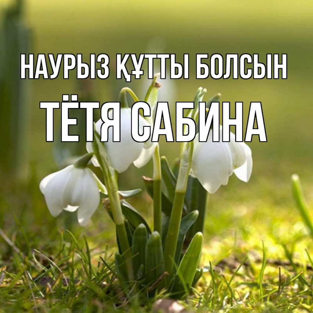 Открытка на каждый день с именем, Тётя-Сабина Наурыз құтты болсын ранние цветы 2 Прикольная открытка с пожеланием онлайн скачать бесплатно 