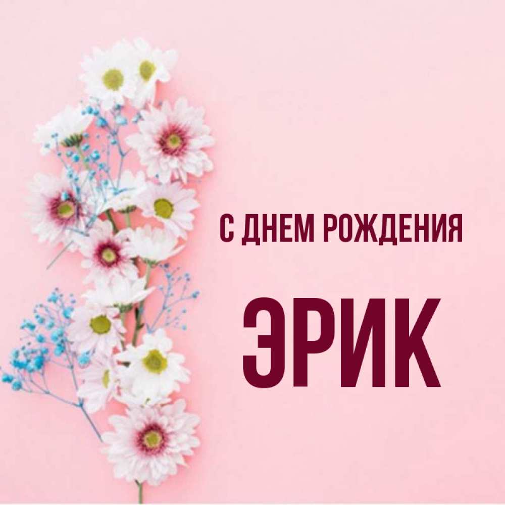 Эрика С Днем Рождения Картинки Красивые