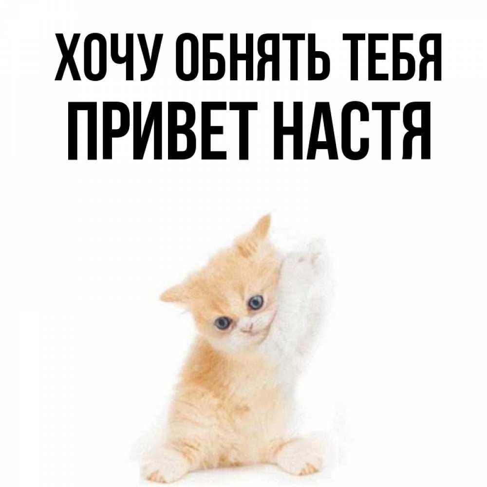 Настя котик. Привет Настя. Настя ты котик. Привет хочу тебя обнять.