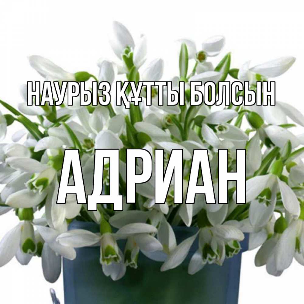Открытка на каждый день с именем, Адриан Наурыз құтты болсын цветы к наурызу Прикольная открытка с пожеланием онлайн скачать бесплатно 