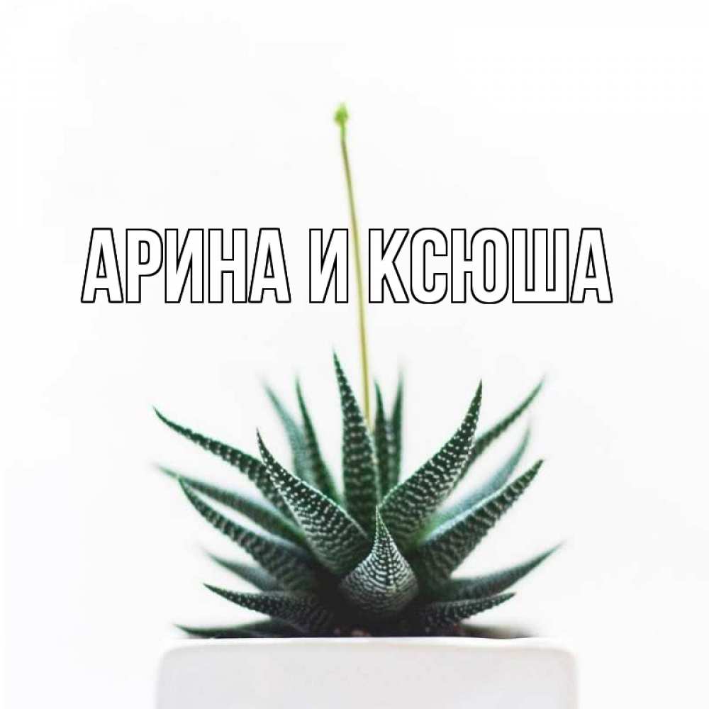 Открытка на каждый день с именем, Арина-и-Ксюша Главная короче это непонятная колючка Прикольная открытка с пожеланием онлайн скачать бесплатно 