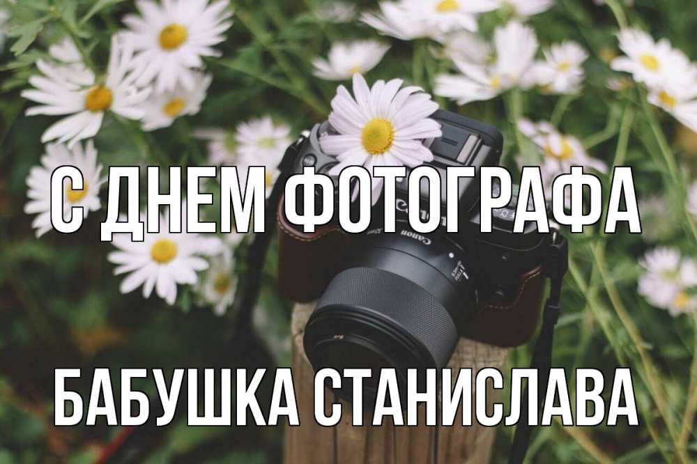 Открытка на каждый день с именем, Бабушка-Станислава С днем фотографа с днем фотографа Прикольная открытка с пожеланием онлайн скачать бесплатно 